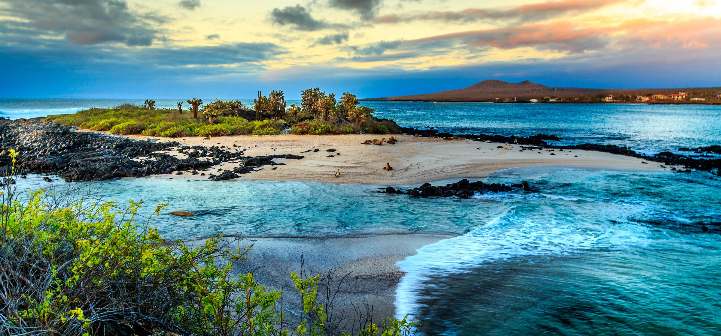 Volcanic landscape in the western islands