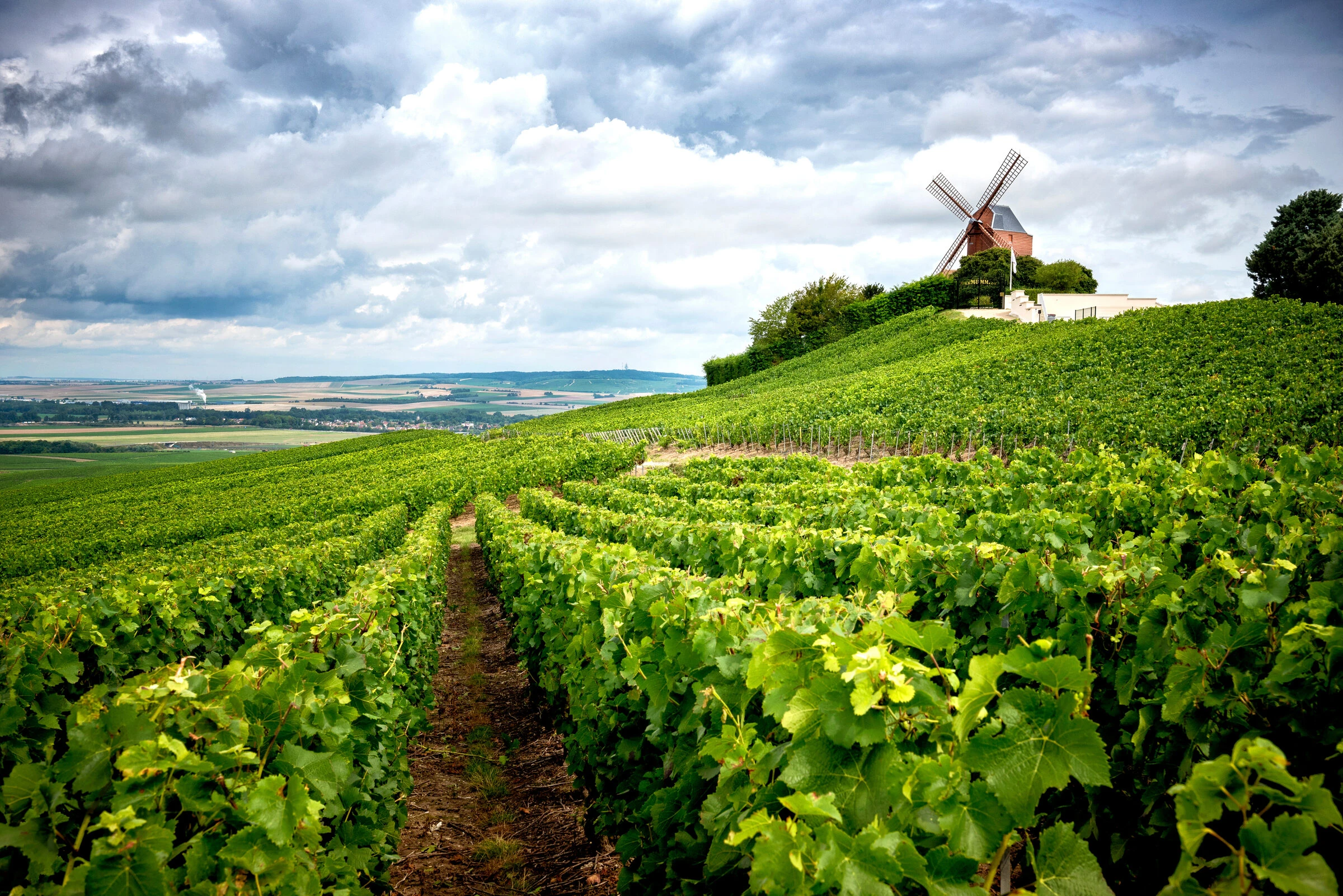 France's Champagne Region: Effervescent Elegance
