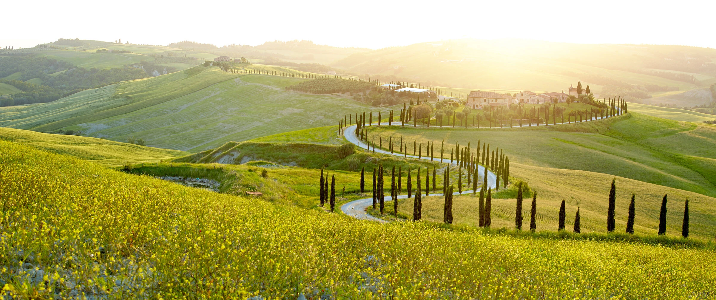 The Ultimate Food & Wine Lover’s Itinerary for Tuscany