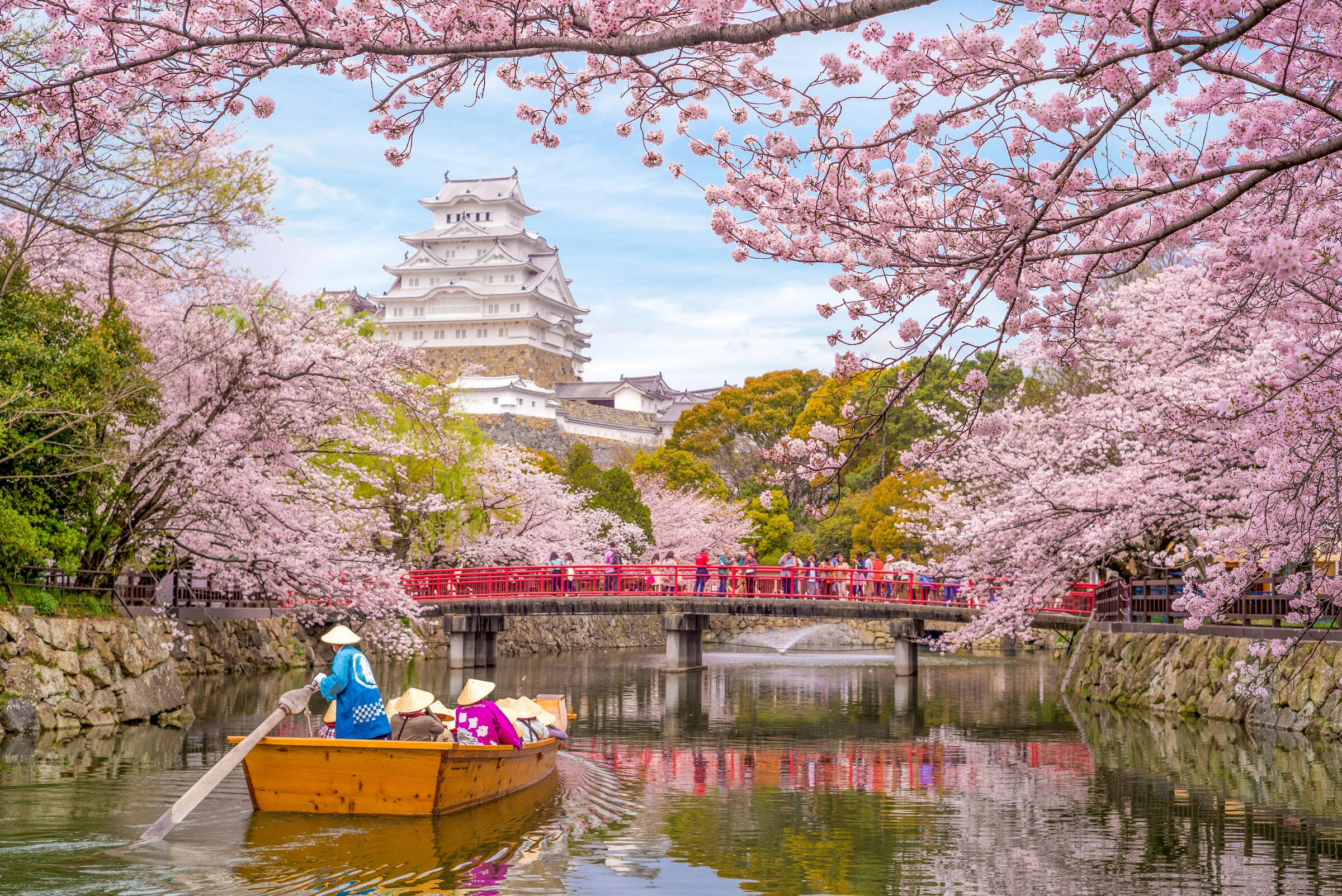 Where to Chase Cherry Blossoms