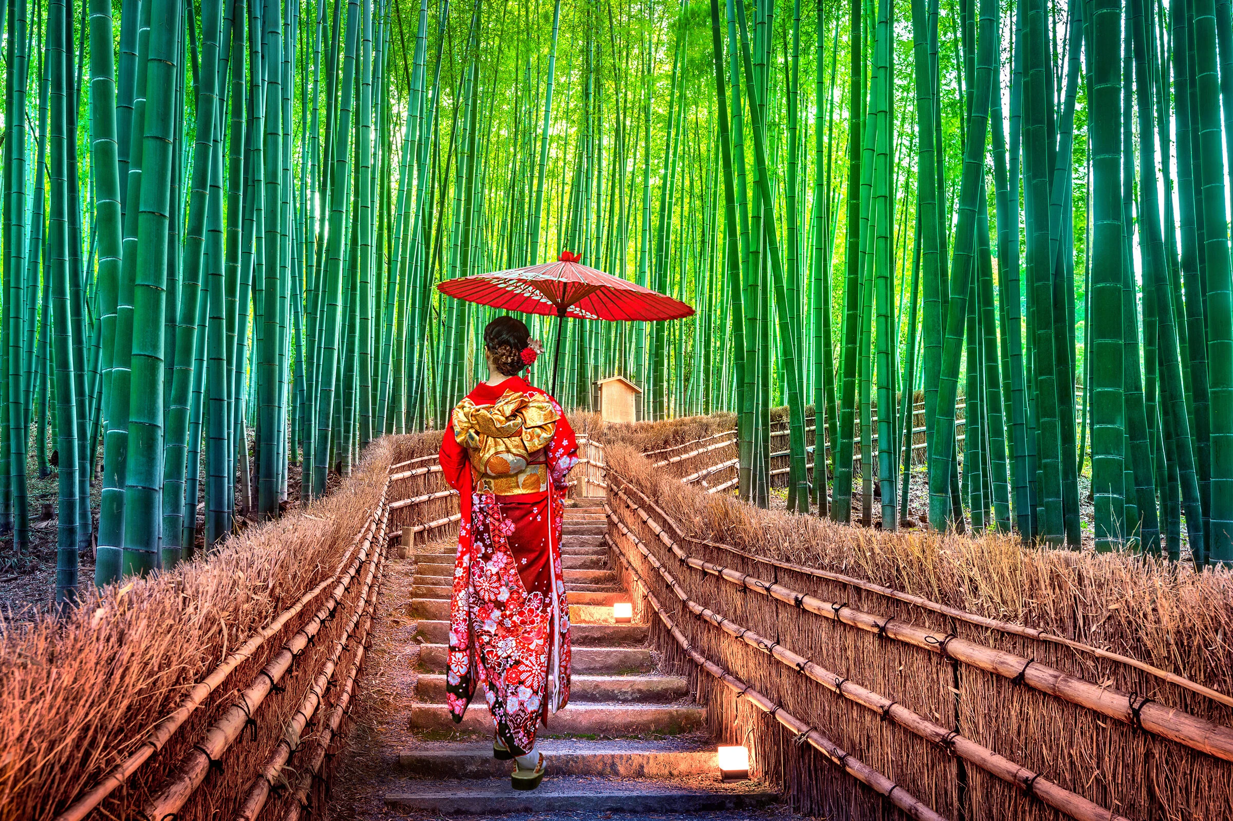 Japan’s Ryokans: The Art of Wellness Travel