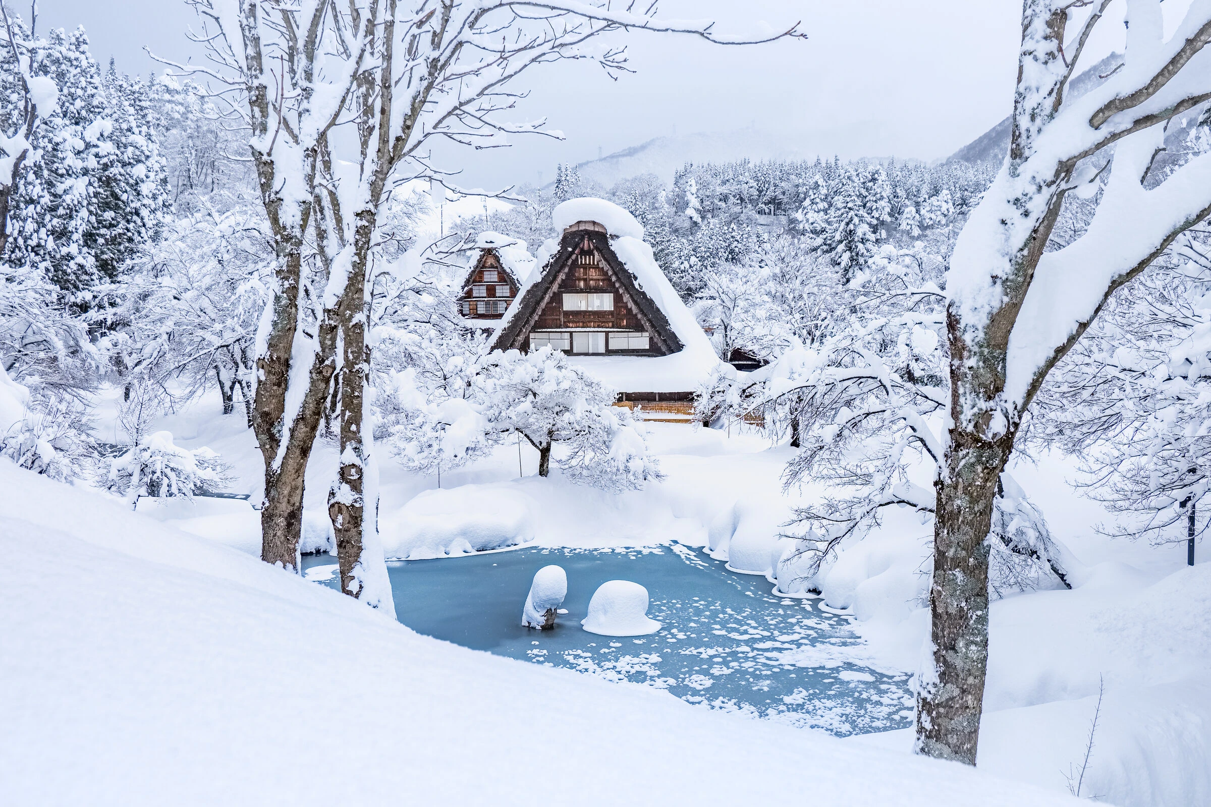 Onsens, Snow Monkeys, & Boutique Ski Resorts