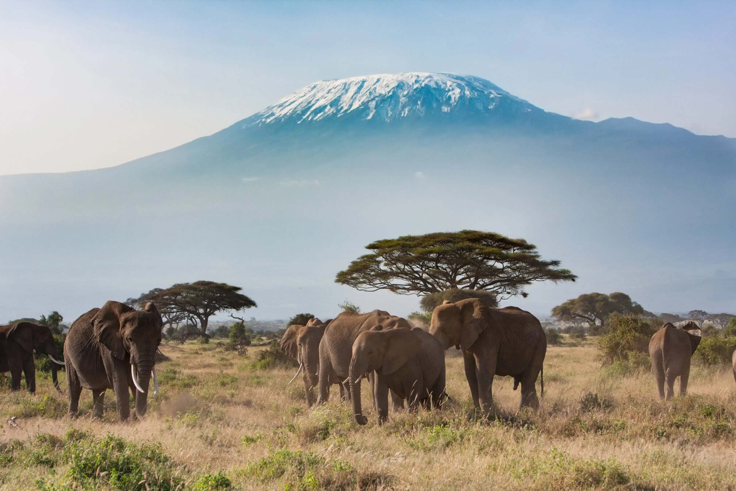 Kilimanjaro Climb: Lemosho Route VIP