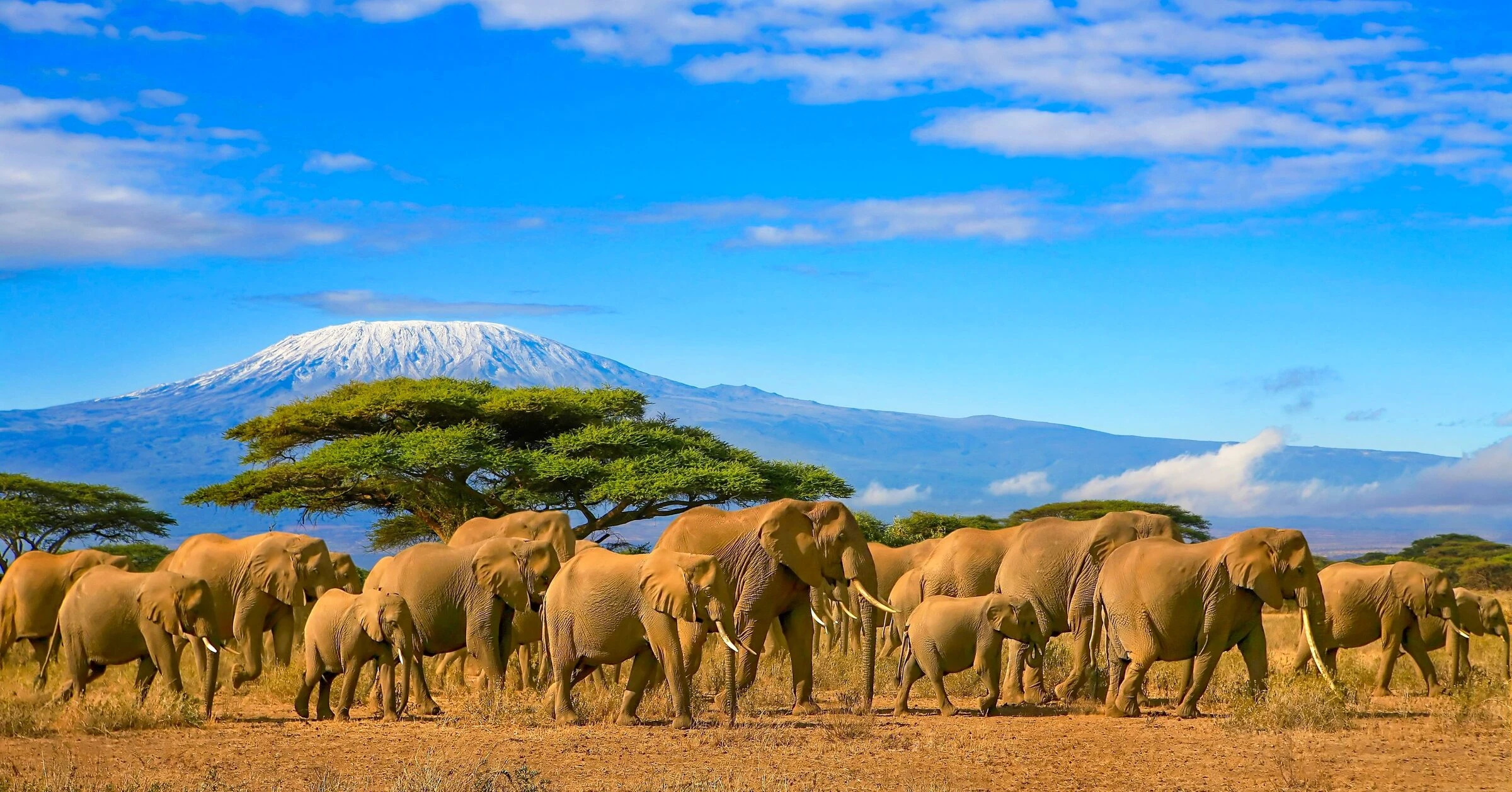East Africa