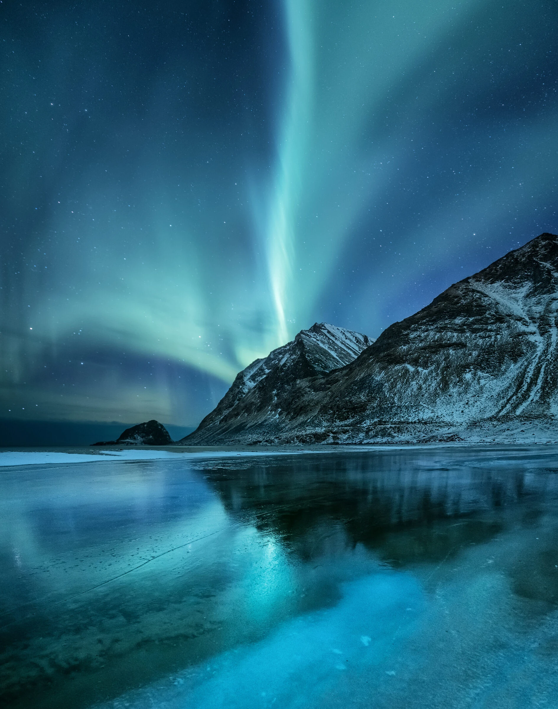 The Arctic