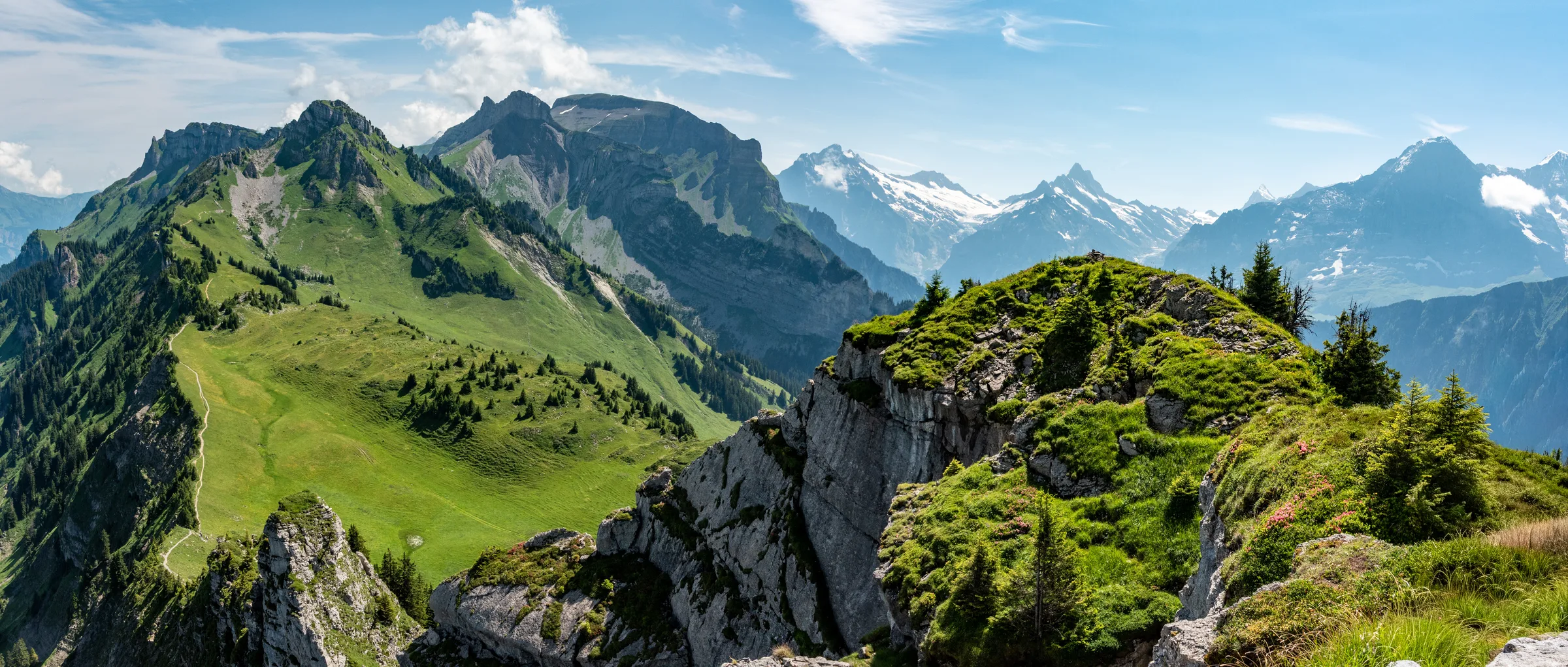 Alpine pasture and ridgeline above the treeline