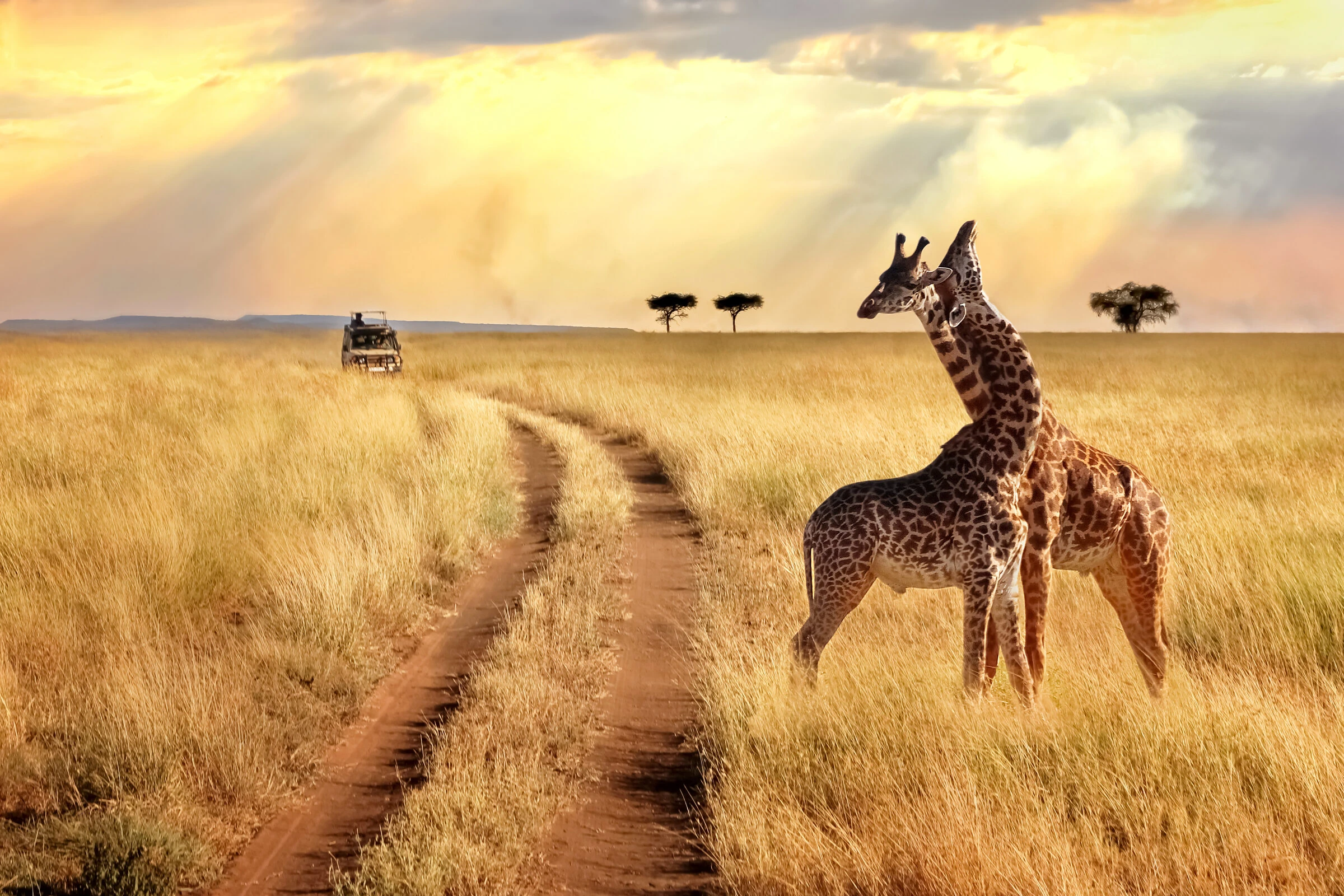 Tanzania Cycling Safari