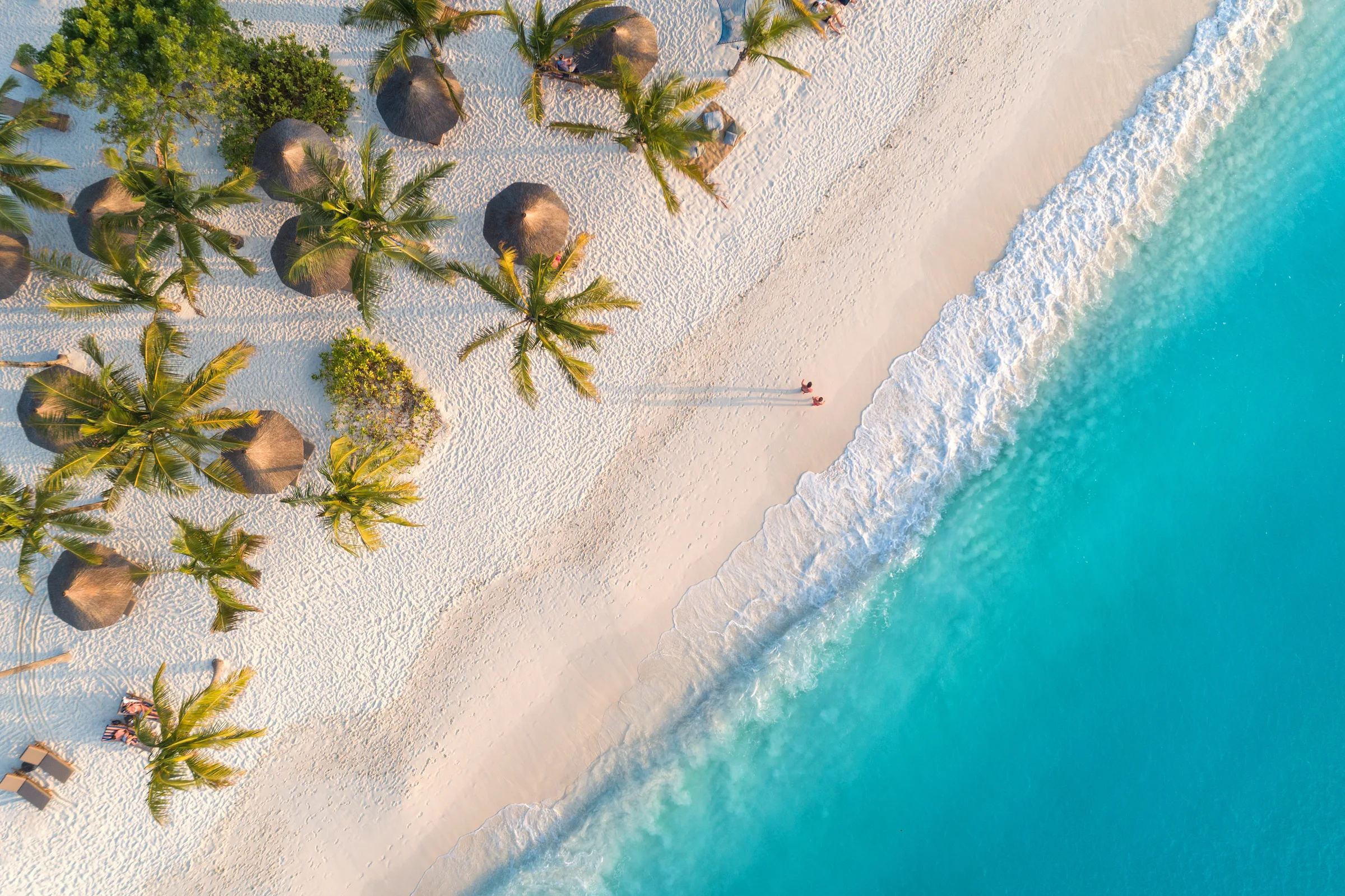 Palms and thatched umbrellas above the surf line on the Zanzibar coast