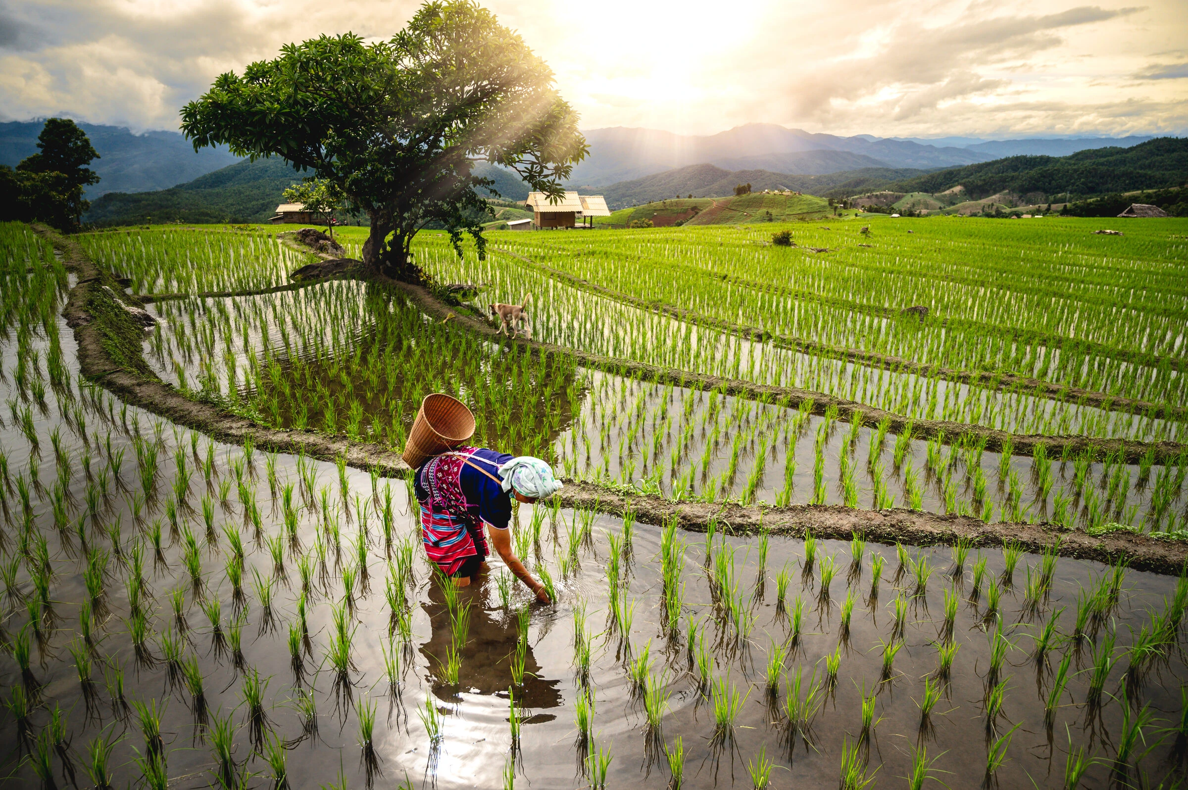 Chiang Mai’s Boutique Retreats