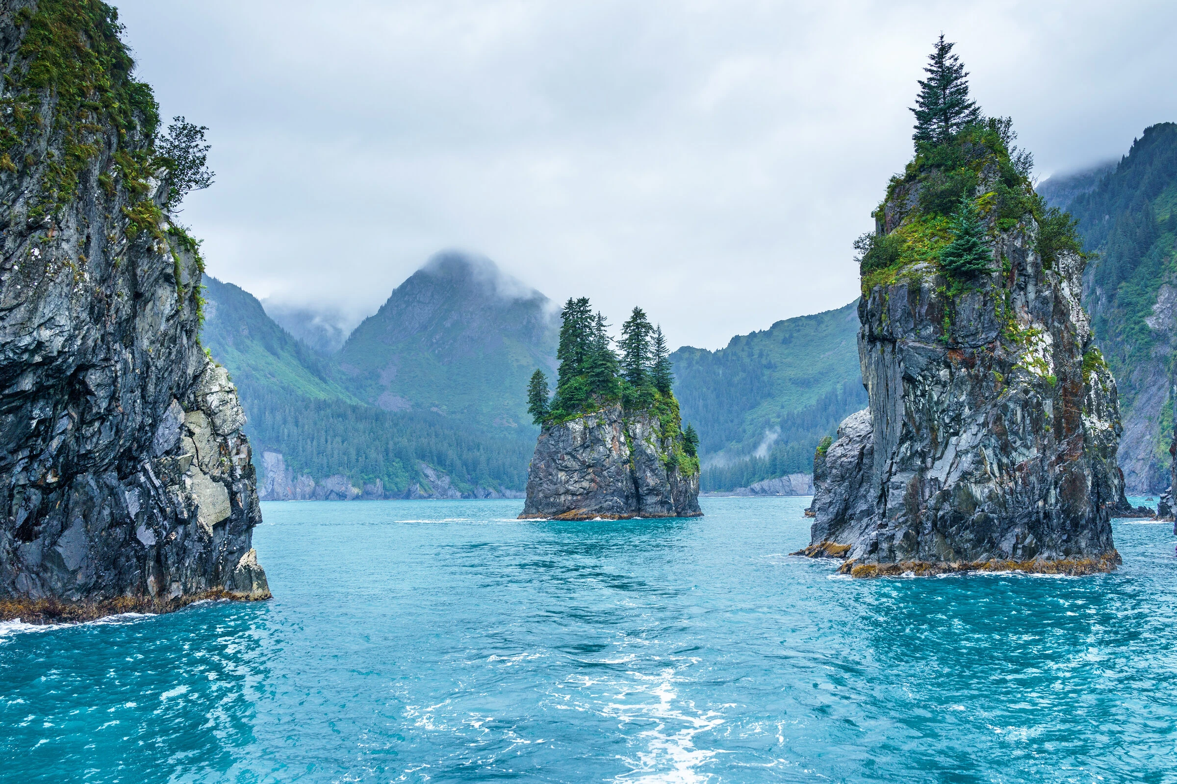 Kenai Fjords Alaska