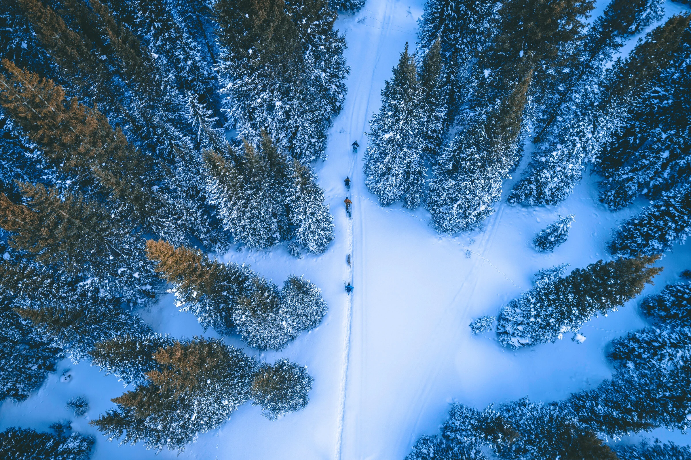 Let’s Chase Powder in the Rockies
