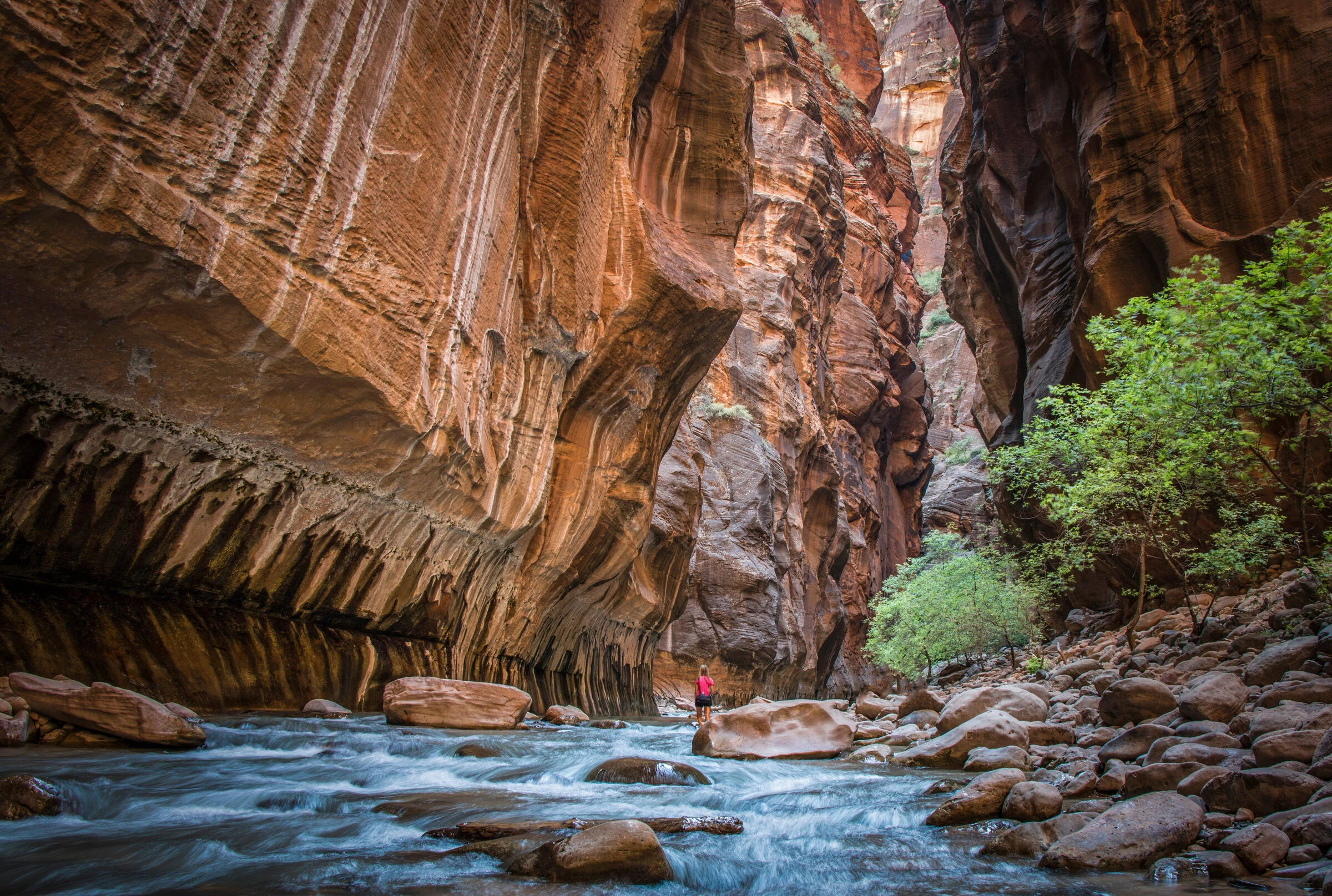 Where to Go Next: The Quiet Side of the World