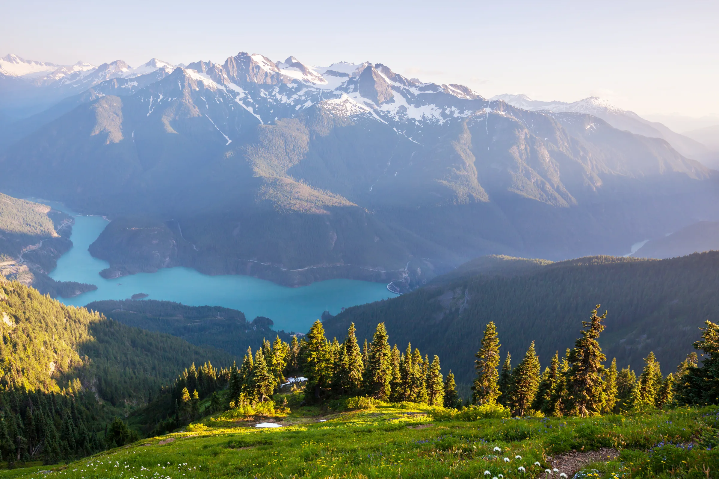Alpine lake and forest