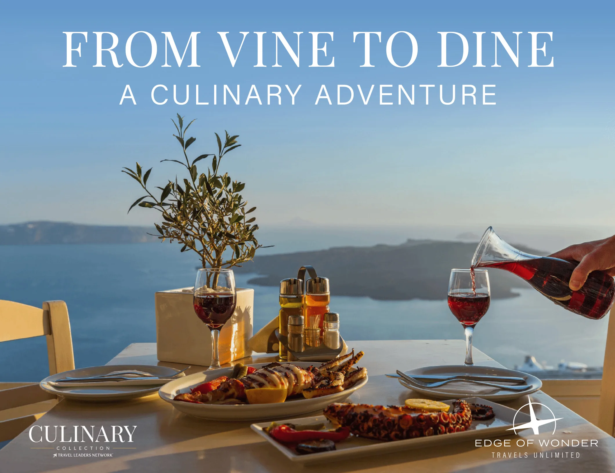 From Vine to Dine brochure cover — a culinary adventure