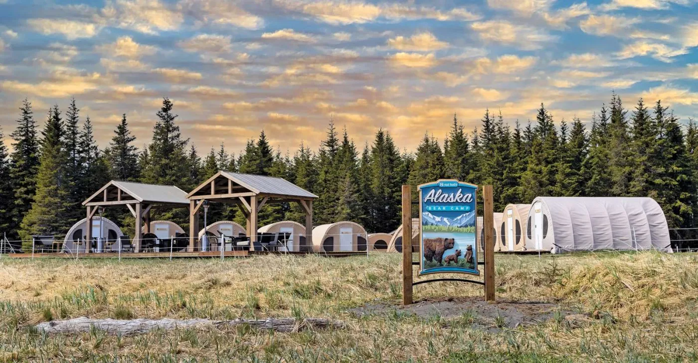 Camp with a Twist: Don’t Avoid the Bears